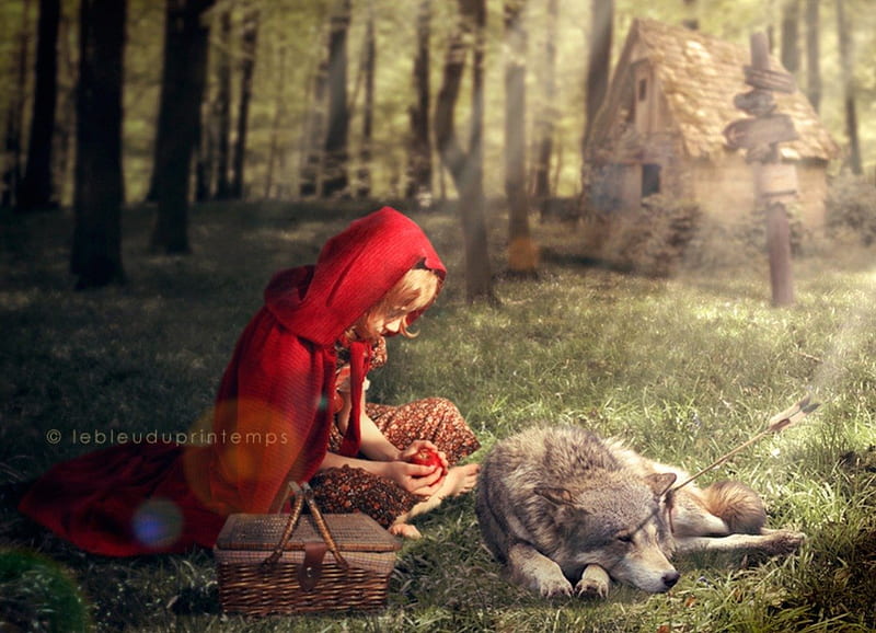 Little Red Riding Hood, red, forest, fantasy, girl, basket, wolf, HD wallpaper