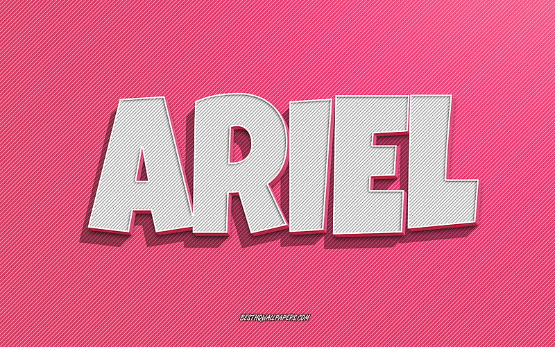 Ariel, pink lines background, with names, Ariel name, female names, Ariel greeting card, line art, with Ariel name, HD wallpaper
