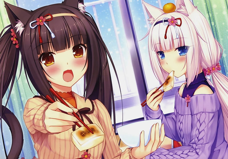 Catgirls Chocola & Vanilla, chocola and vanilla, rose, two girls,  thighhighs, HD wallpaper