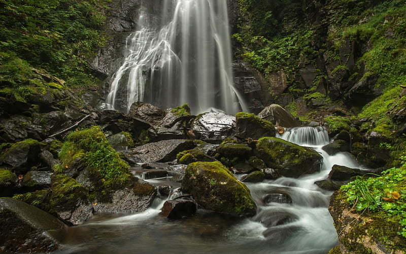 beautiful waterfall, rock, rain forest, mountain stream, moss, jungle, HD wallpaper