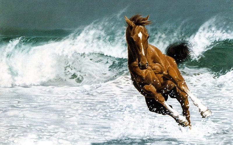 horse, water, wild, running, animals, sea, HD wallpaper