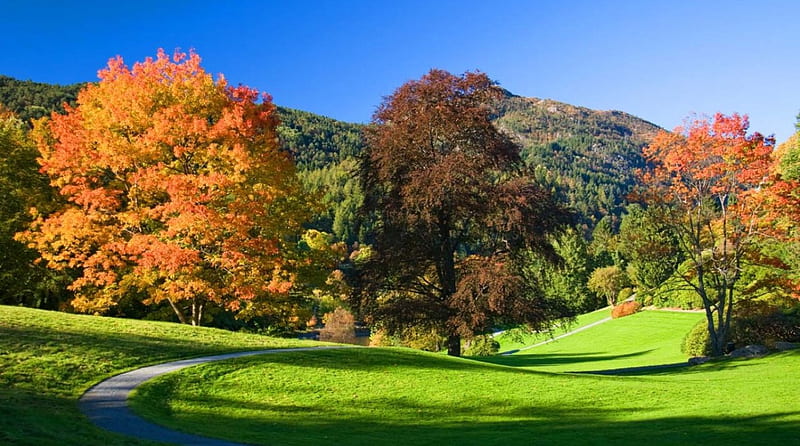 Gamlehaugen, Bergen - Norway, fall, autumn, green, grass, nature, trees, landscape, HD wallpaper