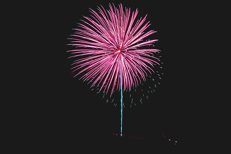 fireworks, salute, black, HD wallpaper