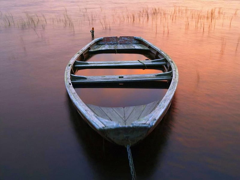 Solitude, Lake, rowboat, orang, water, HD wallpaper