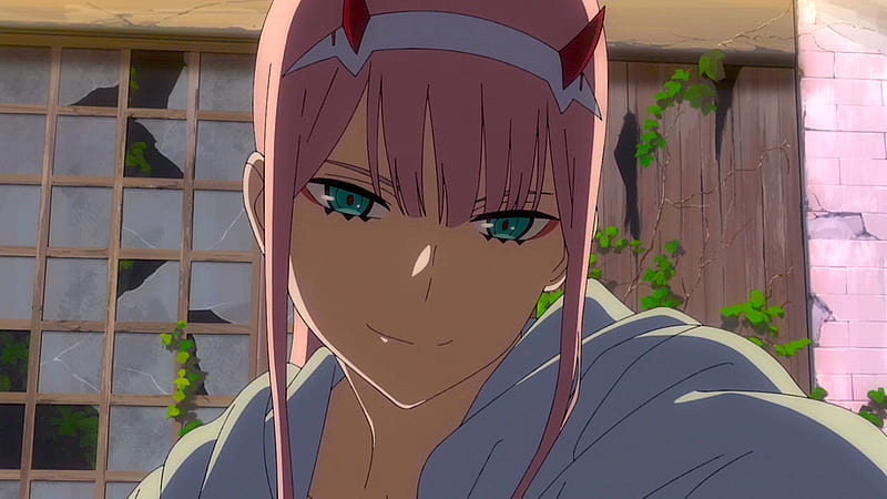 Darling In The FranXX Zero Two Hiro Zero Two With Background Of Window With Broken Glass Green Plants And Broken Brown Wooden Wall And Pink Wall Anime, HD wallpaper