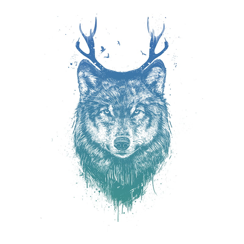 Deer wolf, Balazs, Deer, antlers, blue, classic, drawing, elegant, surreal, tattoo, wolf, HD phone wallpaper