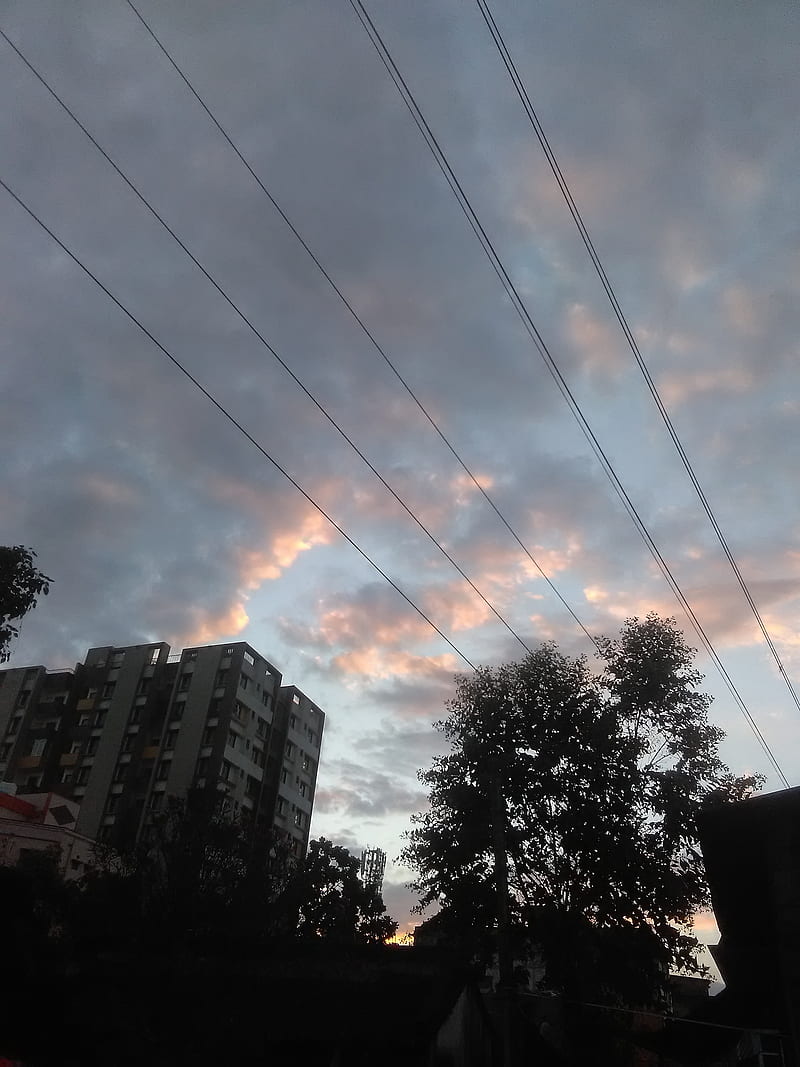 Sky, tree, cloud, city, HD phone wallpaper | Peakpx