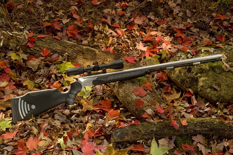Thompson center endeavor hunting rifler, 09, sport, gun, hunting, 2011, 24, HD wallpaper