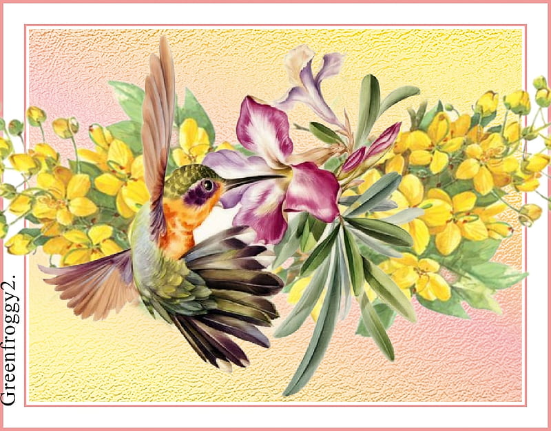 HUMMINGBIRD AND WATTLE FLOWERS, ART, FLOWERS, ABSTRACT, BIRD, HD wallpaper
