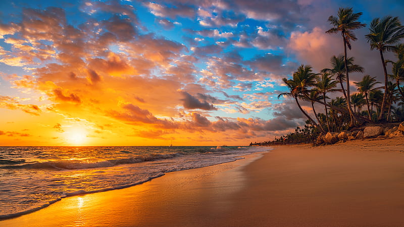 Earth, beach, Sunset, HD wallpaper | Peakpx