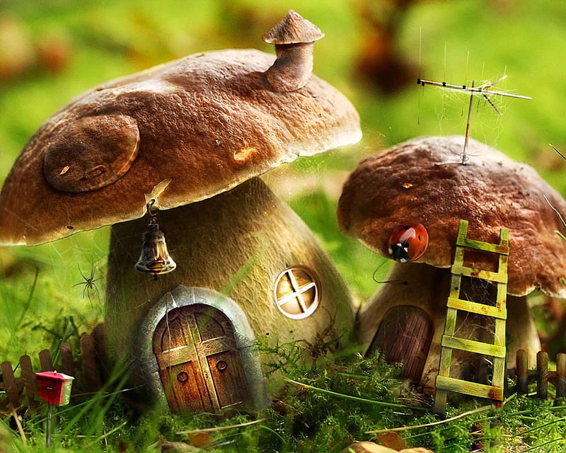 Cosy home, cute, nice, house, 3d, green, mushrooms, abstract, HD wallpaper