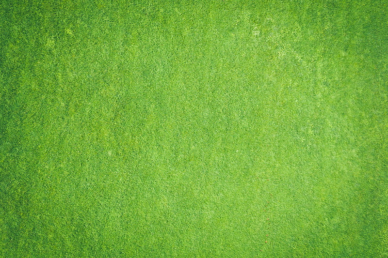surface, texture, green, rough, HD wallpaper