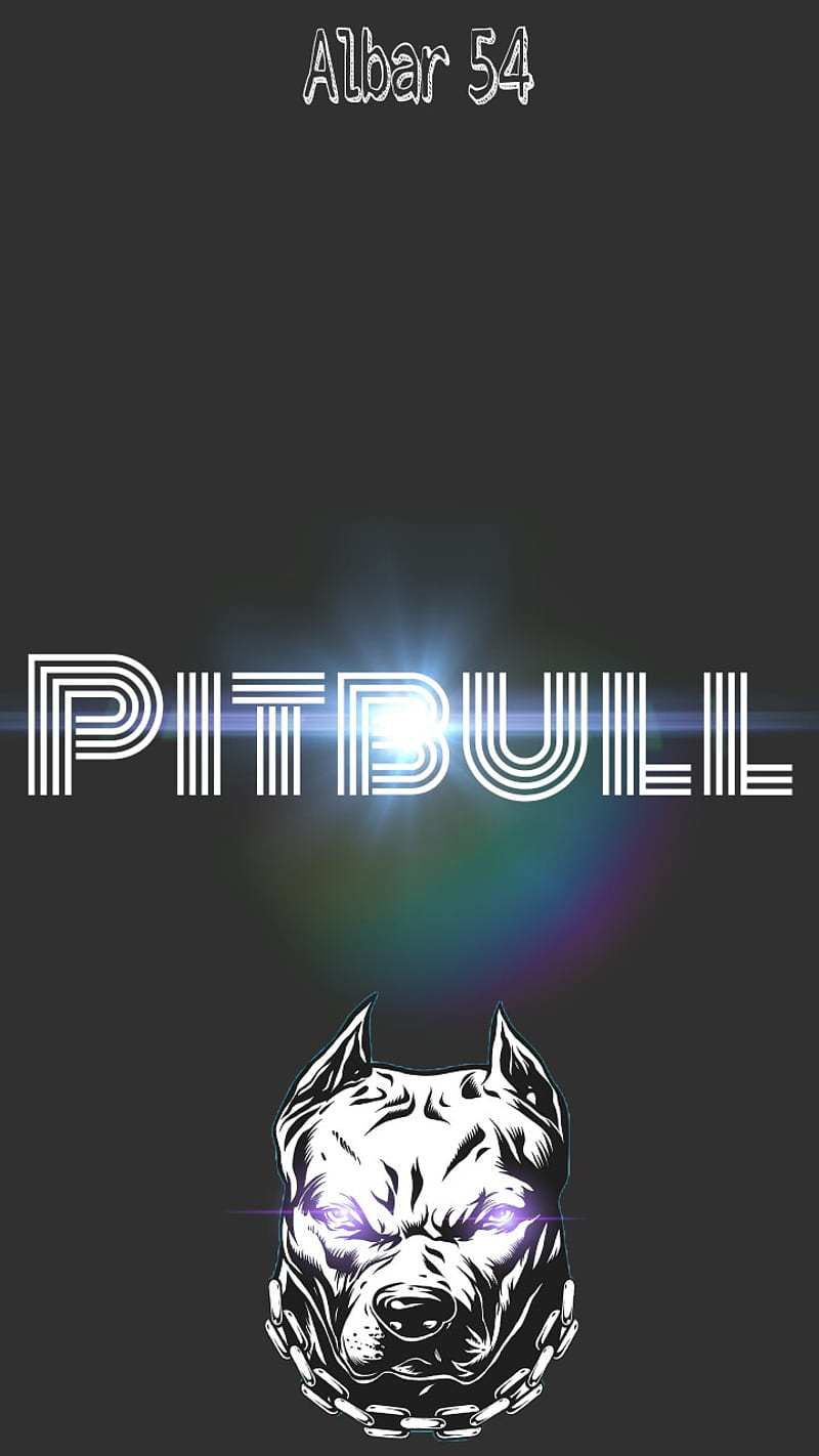 Pitbull, hayvan, HD phone wallpaper