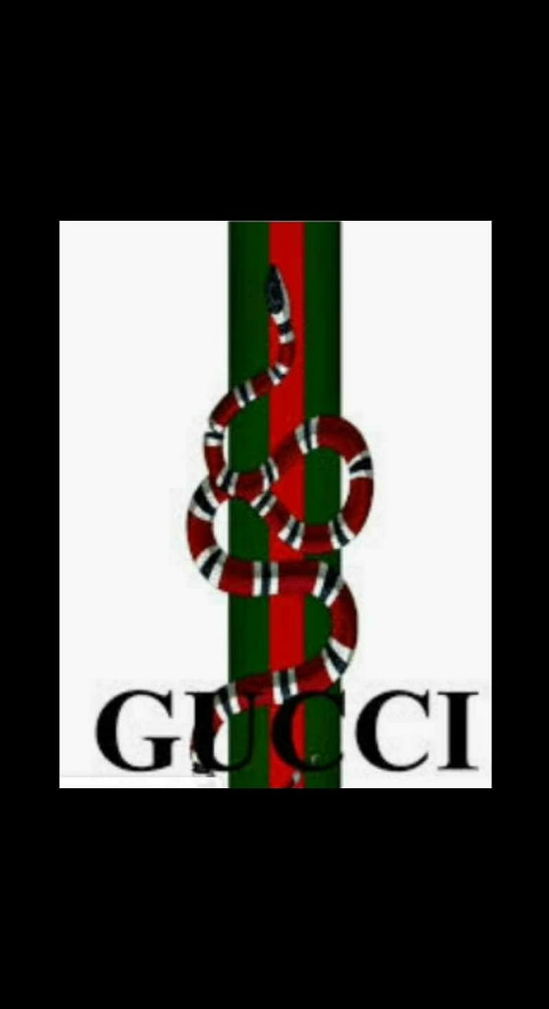 Gucci snake , snak3, HD phone wallpaper
