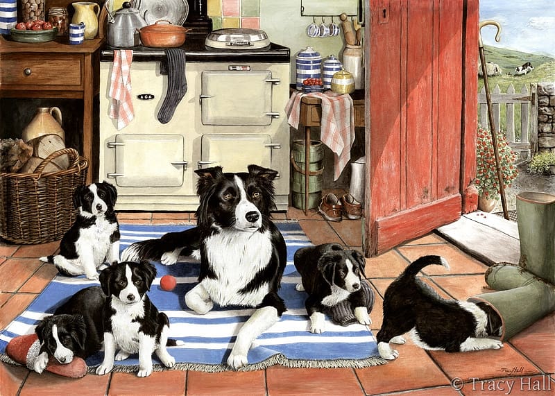 Working mom, art, border collie, mother, caine, dog, white, black, tracy hall, puppy, painting, pictura, HD wallpaper