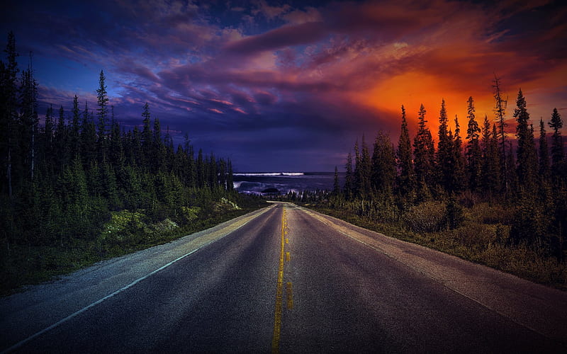 asphalt road, mountain, forest, USA, sunset, HD wallpaper