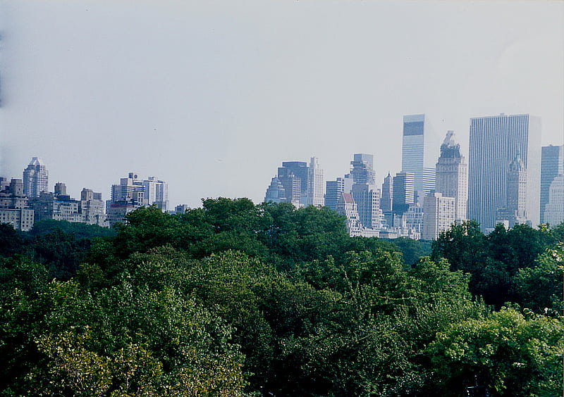 Central Park, Manhattan, New York City, new york, manhattan, central park, usa, HD wallpaper