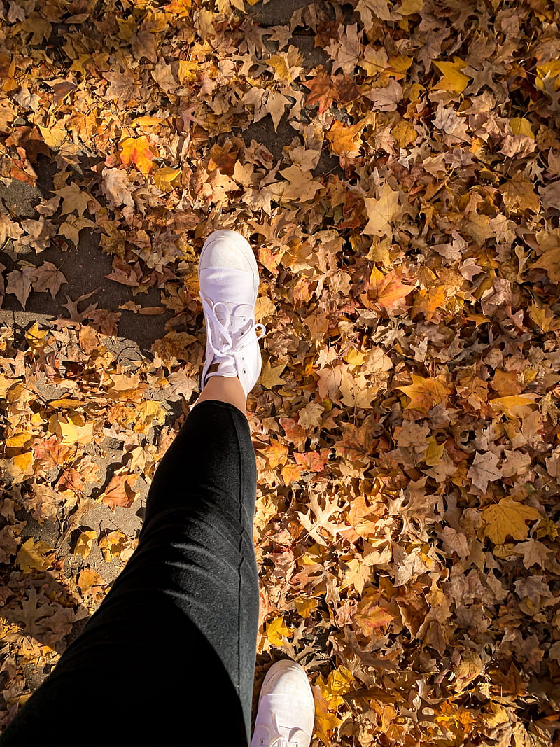 woman about to take one steps on dried leaves, HD phone wallpaper