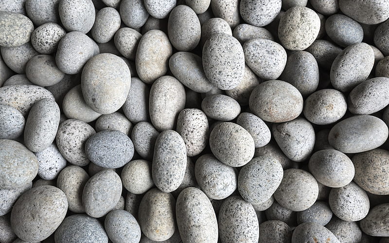 gray stones, pebble, coast, stone texture, smooth rounded stones, beach, HD wallpaper