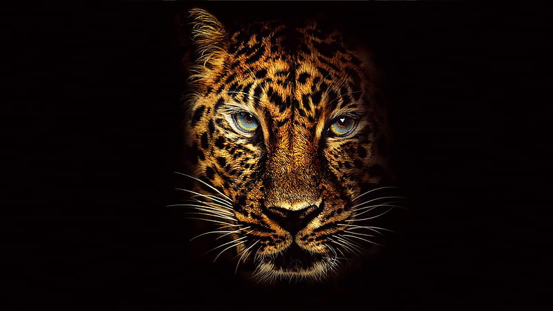 Jaguar, beast, furry, jaguar, leopard, leopards, simple, ultra, HD wallpaper  | Peakpx
