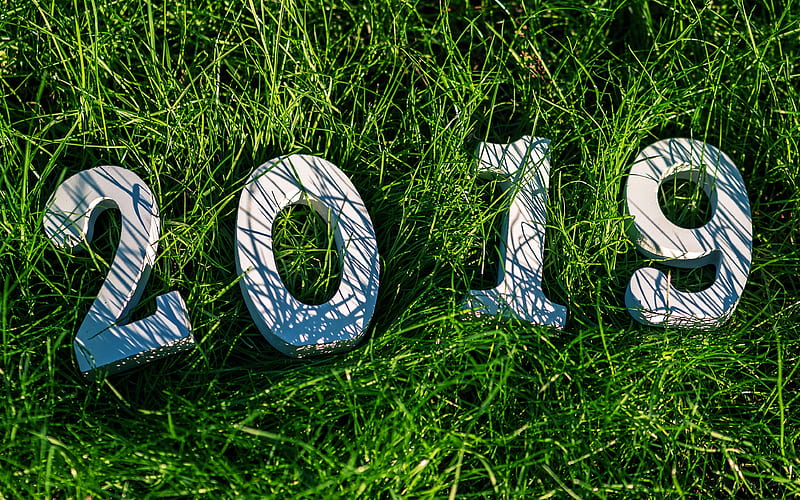Green meadow New Year 2019 Theme, HD wallpaper