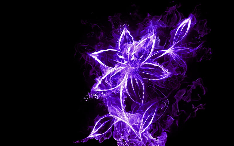 Neon Flower, flower, black, neon, purpel, purpel flower, HD wallpaper