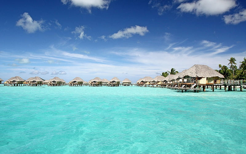Bora-Bora, Ocean, resort, bungalow, houses over the water, palm trees, summer, beach, HD wallpaper