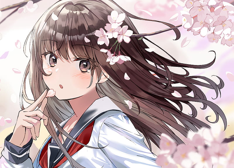Anime, Girl, Brown Hair, Cherry Blossom, Brown Eyes, HD wallpaper