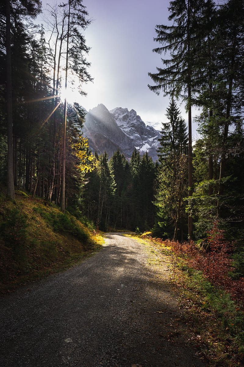 path, mountains, rays, trees, sun, HD phone wallpaper