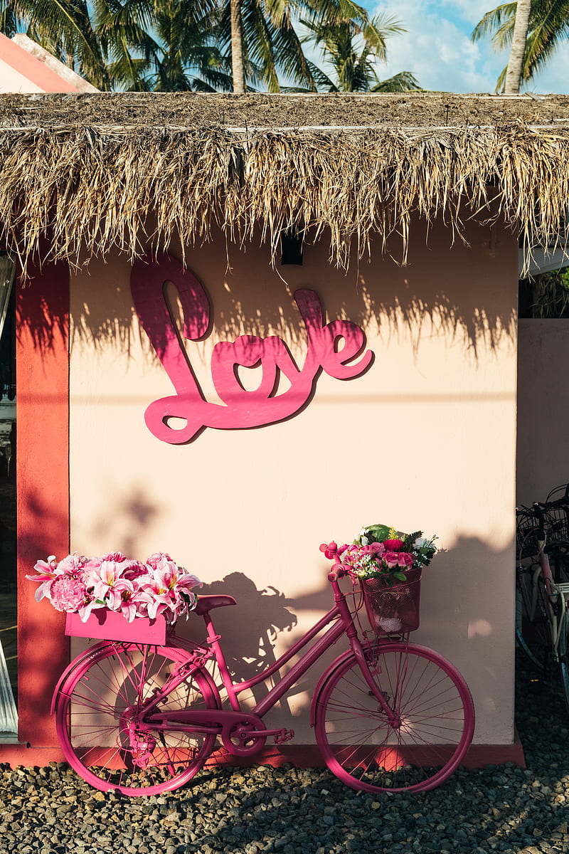 pink city bicycle, HD phone wallpaper
