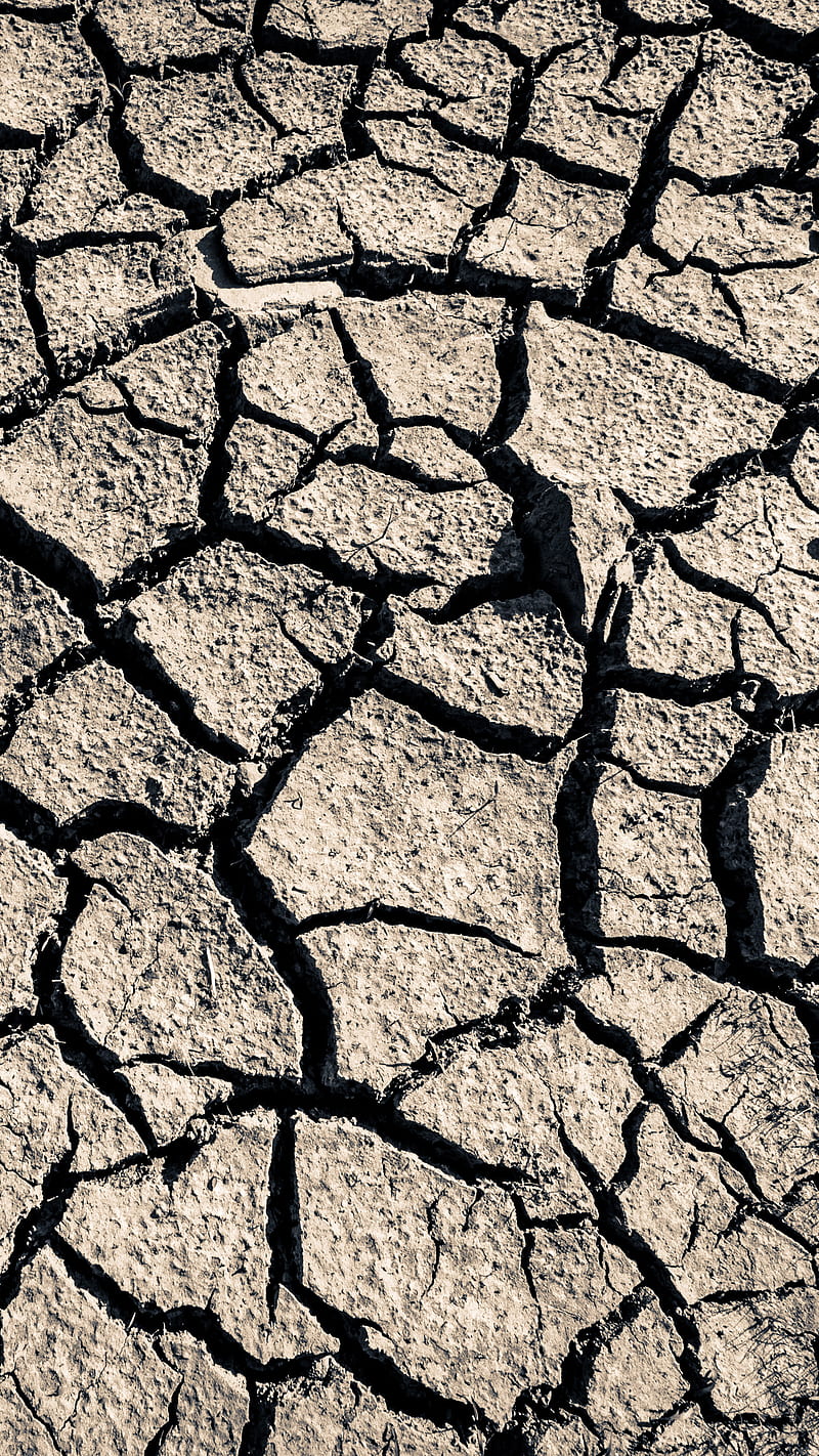 Cracked Earth, cracked, cracked ground, cracks, dried, dried up, drought, earth, ground, lines, mud, nature, HD phone wallpaper