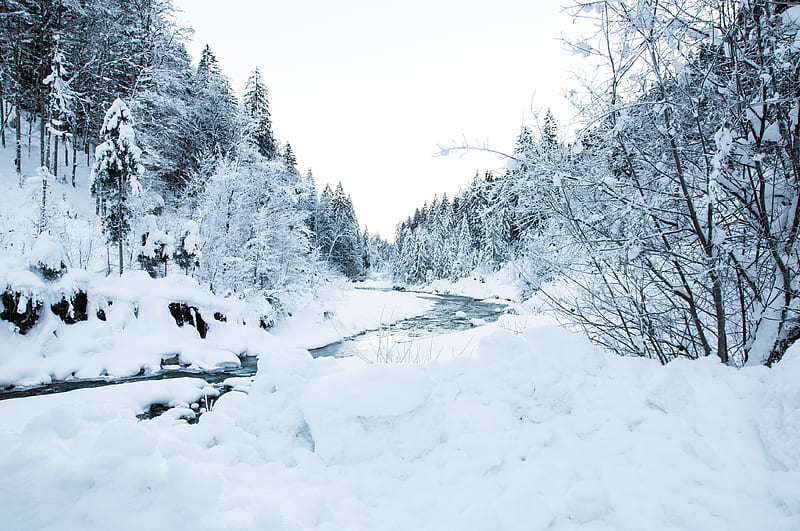 river, trees, snow, landscape, winter, HD wallpaper
