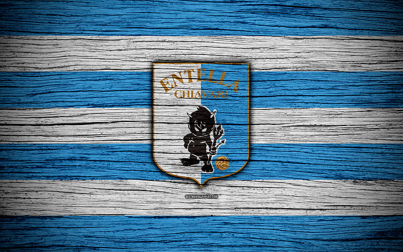 Virtus Entella FC, Serie B football, wooden texture, blue-white lines, Italian football club, logo, emblem, Chiavari, Italy, HD wallpaper