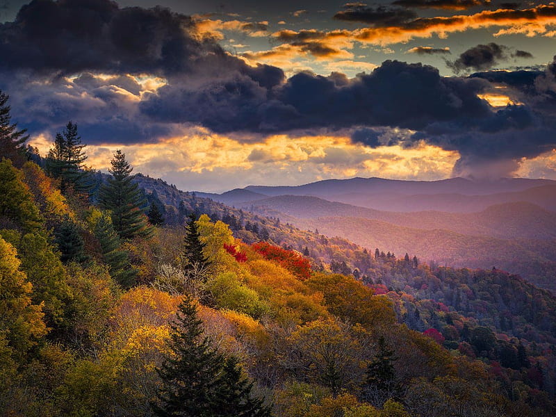 Great Smoky Mountains National Park, Tennessee, forest, autumn, sunset, clouds, sky, HD wallpaper