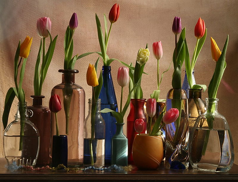 tulips, deco, still life, vases, multicolor, stands, flowers, color, bottles, jars, HD wallpaper