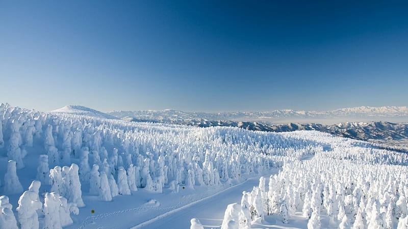Yamagata Zao Onsen Ski Resort, resort, japanese, onsen, ski, winter, japan, snow, nature, yamagata, scenery, HD wallpaper