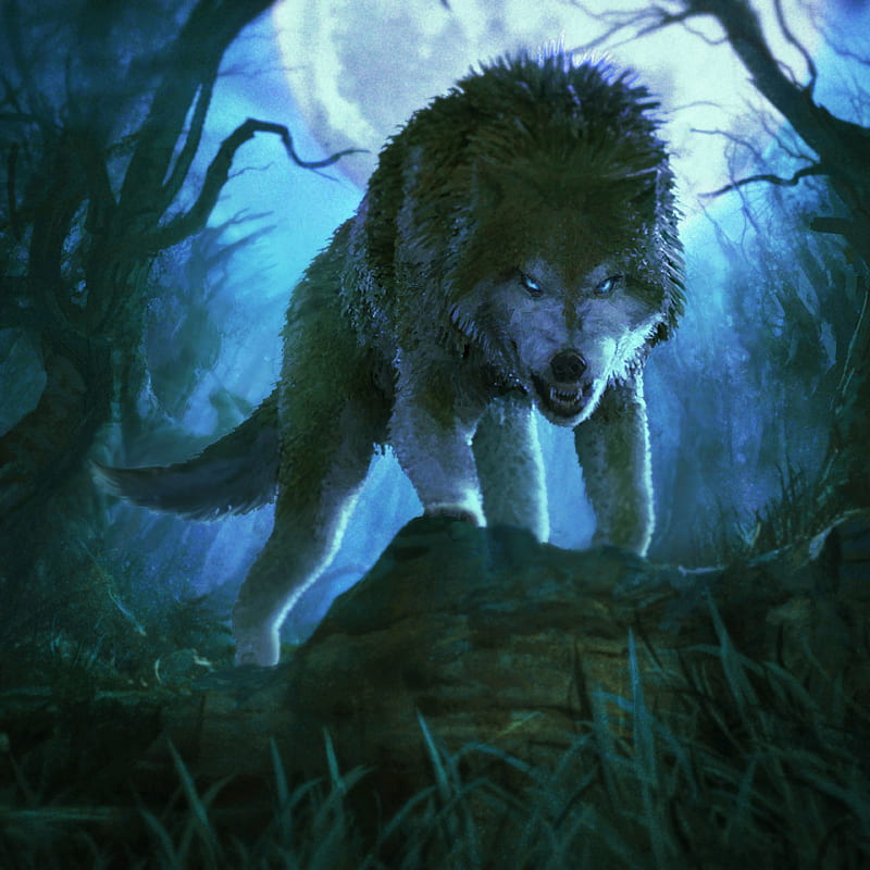 wolf, grin, aggressive, predator, art, HD phone wallpaper