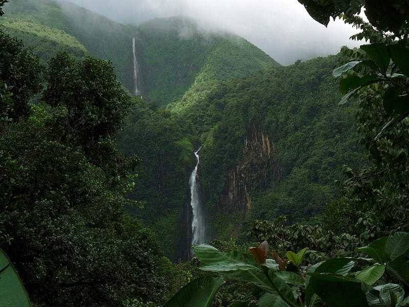 Carbet Falls - Guadeloupe - Leeward Islands, Guadeloupe, Leeward Islands, Carbet Falls, Caribbean, HD wallpaper