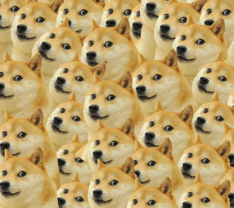 Doge, memes, pattern, HD wallpaper