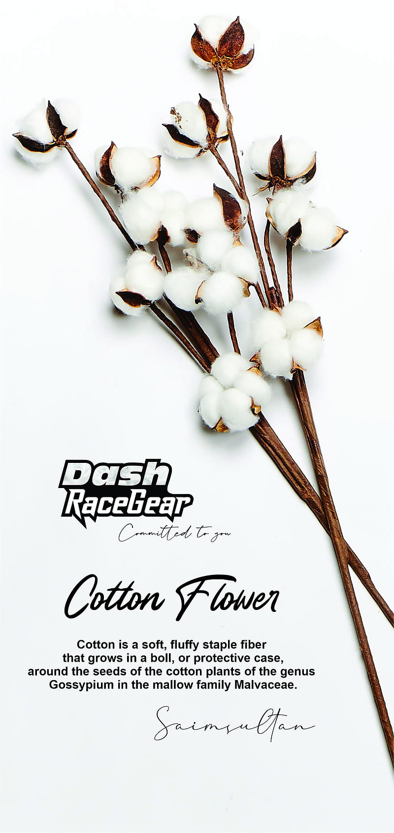 Cotton Flower, heart, sayings, HD phone wallpaper