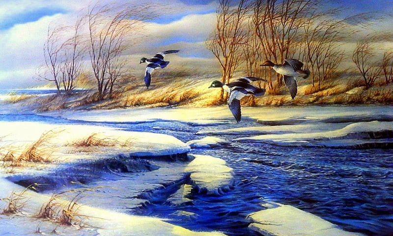 ★Drifting in Winter★, pretty, colors, love four seasons, birds, bonito, sky, clouds, xmas and new year, winter, paintings, cool, snow, winter lovely, flying, animals, rivers, HD wallpaper