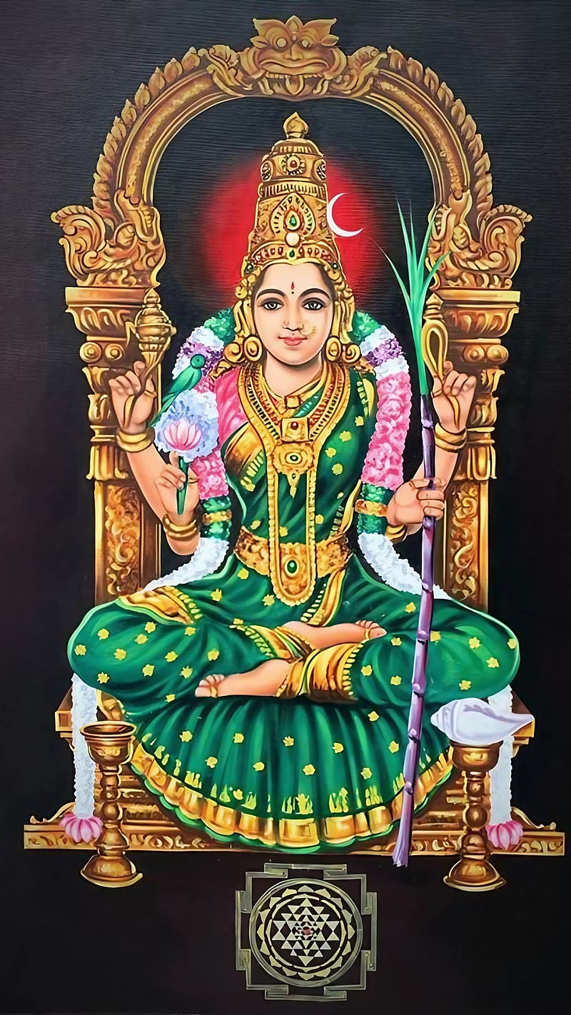 Madurai Meenakshi Amman, lord amman, lord, god, bhakti, devtional, HD phone wallpaper