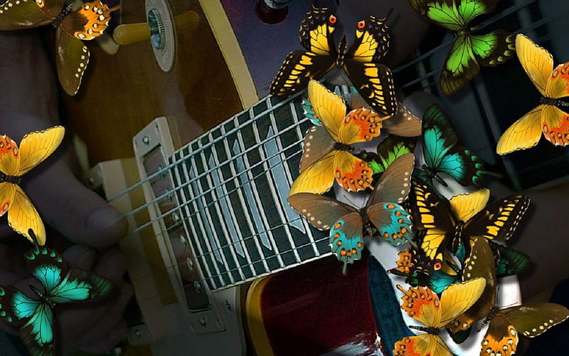 butterfly gibson, gibson, les paul standard, guitar, music, HD wallpaper