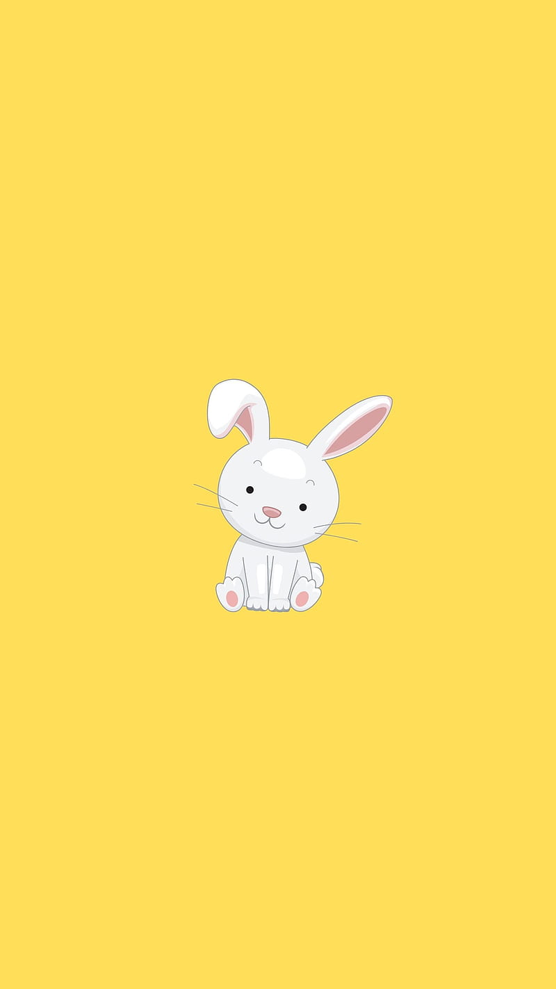Wallpaper Bunny Images  Free Photos PNG Stickers Wallpapers  Backgrounds   rawpixel