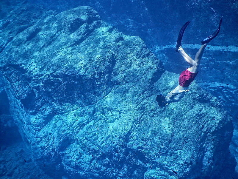 man in red shorts swimming near huge underwater rock, HD wallpaper