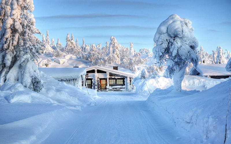 Snow house, house, trees, driveway, snow, HD wallpaper