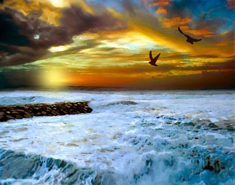 Decline, birds, blue sea, flying, HD wallpaper