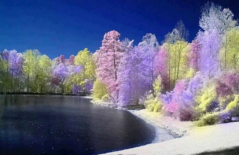 LAVENDER RAINBOW, lakes, colours, ponds, forests, trees, blue, HD ...