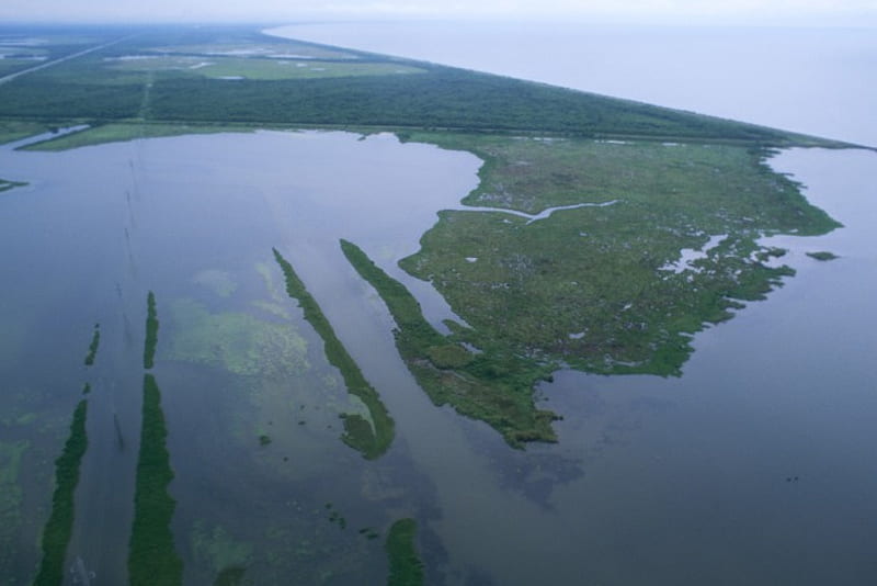 Louisiana Wetlands, coastal wetlands, Wetlands, marsh land, Louisiana, marsh, swamp, HD wallpaper