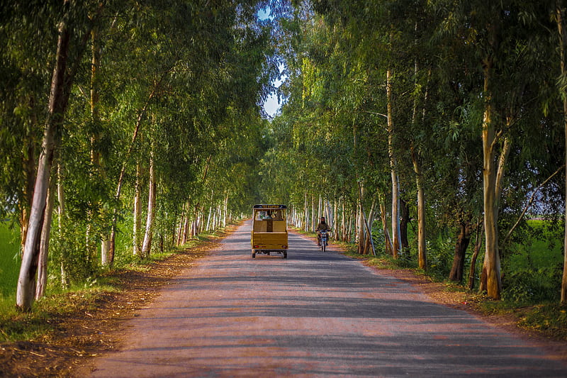 Fresh Way, forest, good, good night, iphone, night, pakistan, rickshaw, road, samsung, HD wallpaper
